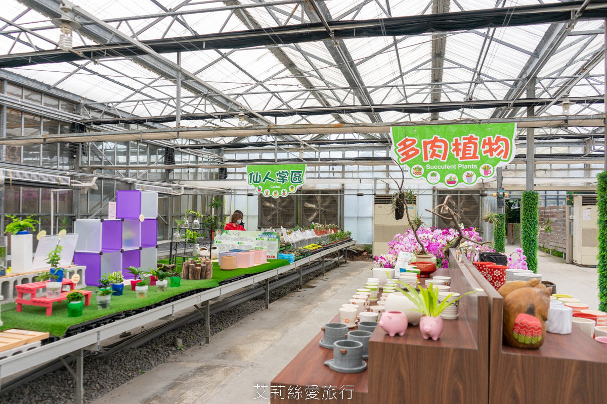 宜蘭礁溪親子景點 室內雨天備案 水豚、貓咪、狐獴、巨嘴鳥根本小型動物園 還能賞花用餐 金車礁溪蘭花園附設動植物生態館 - 第37張圖 宜蘭礁溪親子景點 室內雨天備案 水豚、貓咪、狐獴、巨嘴鳥根本小型動物園 還能賞花用餐 金車礁溪蘭花園附設動植物生態館