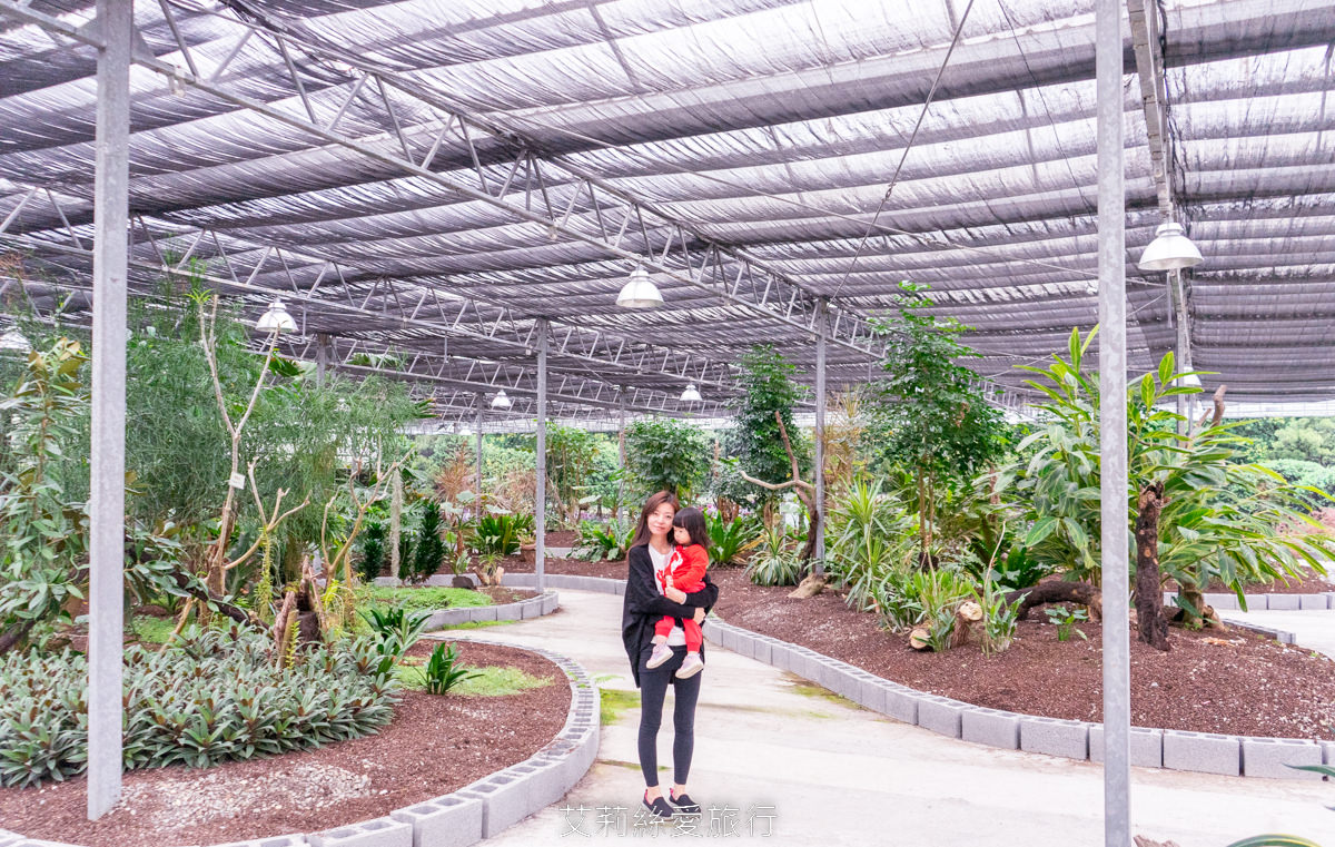 宜蘭礁溪親子景點 室內雨天備案 水豚、貓咪、狐獴、巨嘴鳥根本小型動物園 還能賞花用餐 金車礁溪蘭花園附設動植物生態館 - 第40張圖 宜蘭礁溪親子景點 室內雨天備案 水豚、貓咪、狐獴、巨嘴鳥根本小型動物園 還能賞花用餐 金車礁溪蘭花園附設動植物生態館