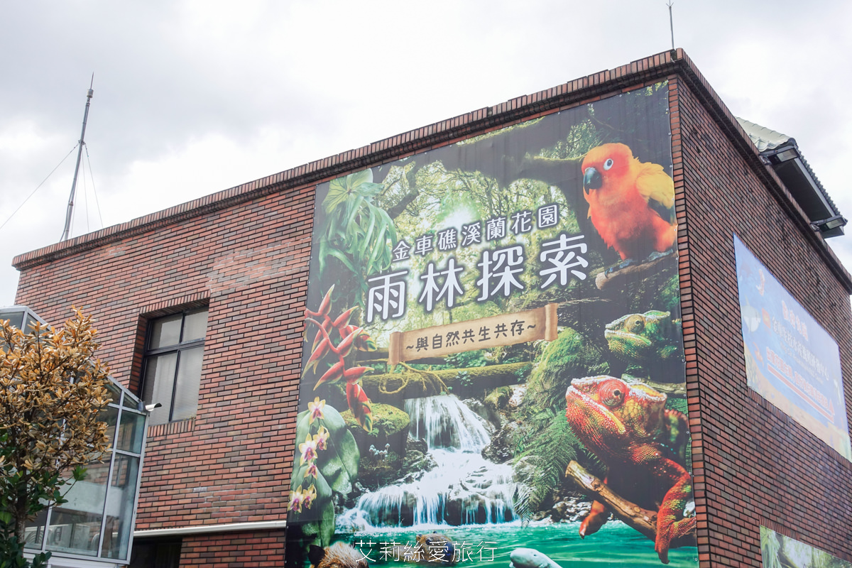 宜蘭礁溪親子景點 室內雨天備案 水豚、貓咪、狐獴、巨嘴鳥根本小型動物園 還能賞花用餐 金車礁溪蘭花園附設動植物生態館 - 第3張圖 宜蘭礁溪親子景點 室內雨天備案 水豚、貓咪、狐獴、巨嘴鳥根本小型動物園 還能賞花用餐 金車礁溪蘭花園附設動植物生態館
