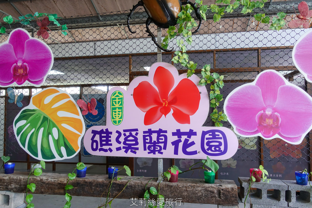 宜蘭礁溪親子景點 室內雨天備案 水豚、貓咪、狐獴、巨嘴鳥根本小型動物園 還能賞花用餐 金車礁溪蘭花園附設動植物生態館 - 第6張圖 宜蘭礁溪親子景點 室內雨天備案 水豚、貓咪、狐獴、巨嘴鳥根本小型動物園 還能賞花用餐 金車礁溪蘭花園附設動植物生態館