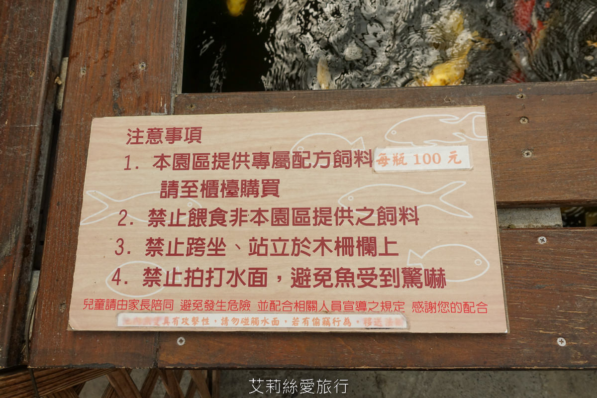 宜蘭礁溪親子景點 室內雨天備案 水豚、貓咪、狐獴、巨嘴鳥根本小型動物園 還能賞花用餐 金車礁溪蘭花園附設動植物生態館 - 第16張圖 宜蘭礁溪親子景點 室內雨天備案 水豚、貓咪、狐獴、巨嘴鳥根本小型動物園 還能賞花用餐 金車礁溪蘭花園附設動植物生態館