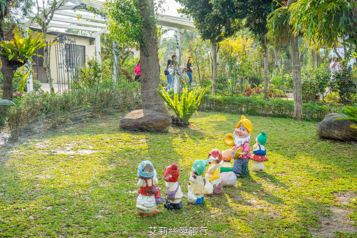 苗栗三義景點 雅聞香草植物工廠 絕美玫瑰園美麗綻放中 免門票入園 荷蘭風車 多肉植物園 大沙坑
