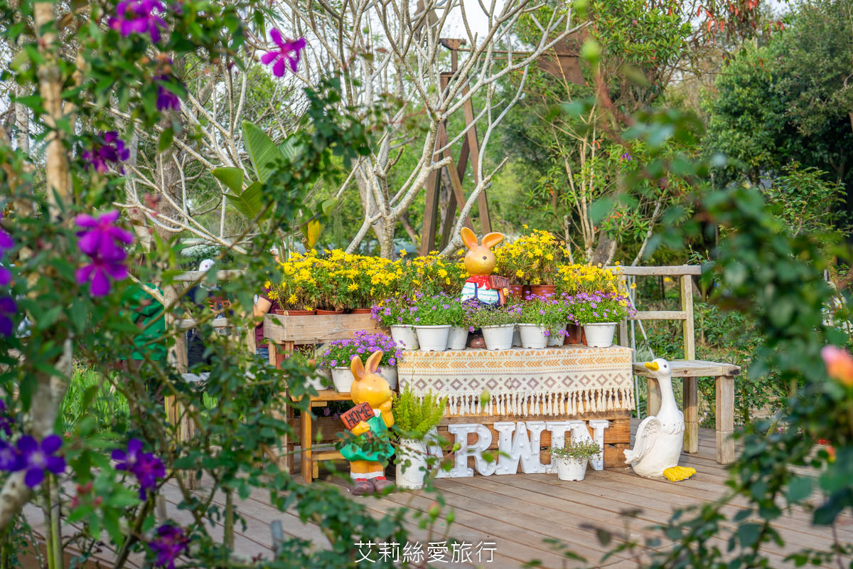 苗栗三義景點 雅聞香草植物工廠 絕美玫瑰園美麗綻放中 免門票入園 荷蘭風車 多肉植物園 大沙坑