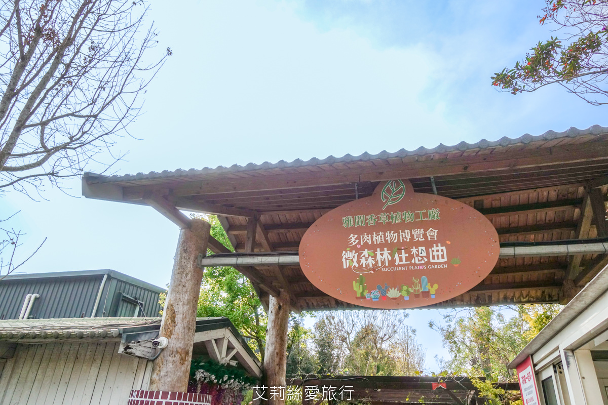 苗栗三義景點 雅聞香草植物工廠 絕美玫瑰園美麗綻放中 免門票入園 荷蘭風車 多肉植物園 大沙坑