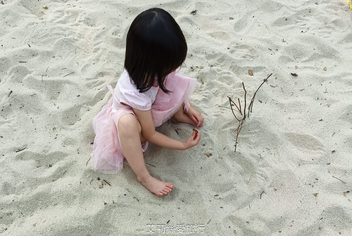 苗栗三義景點 雅聞香草植物工廠 絕美玫瑰園美麗綻放中 免門票入園 荷蘭風車 多肉植物園 大沙坑