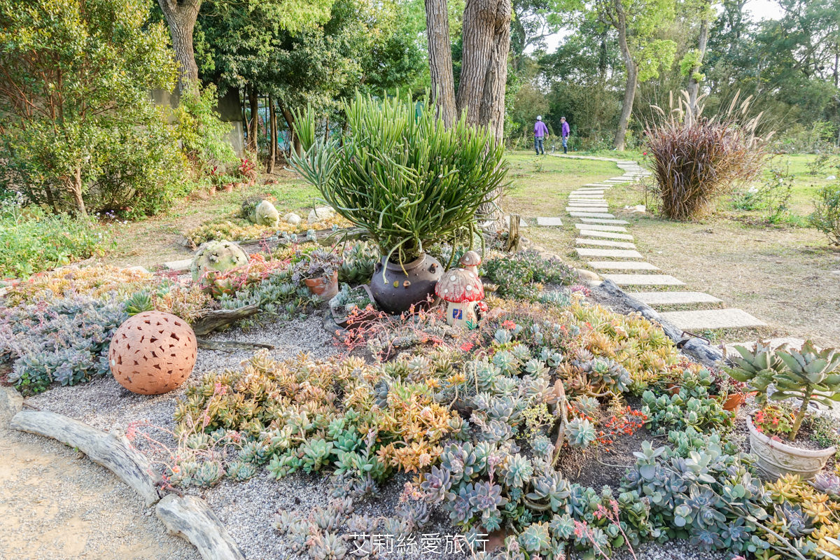 苗栗三義景點 雅聞香草植物工廠 絕美玫瑰園美麗綻放中 免門票入園 荷蘭風車 多肉植物園 大沙坑