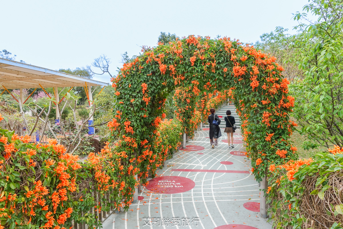 新北親子景點 鶯歌永吉公園 粉嫩富士櫻、黃金風鈴木、多彩多姿杜鵑花真的好好拍 親子同遊炮仗花彩繪步道 玩水旋轉溜滑梯 超好拍立體彩繪 - 第24張圖 新北親子景點 鶯歌永吉公園 粉嫩富士櫻、黃金風鈴木、多彩多姿杜鵑花真的好好拍 親子同遊炮仗花彩繪步道 玩水旋轉溜滑梯 超好拍立體彩繪