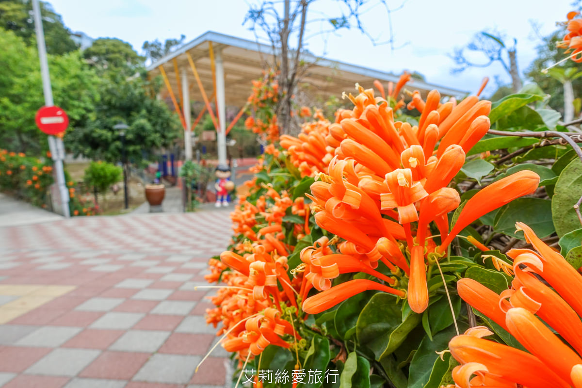 新北親子景點 鶯歌永吉公園 粉嫩富士櫻、黃金風鈴木、多彩多姿杜鵑花真的好好拍 親子同遊炮仗花彩繪步道 玩水旋轉溜滑梯 超好拍立體彩繪 - 第27張圖 新北親子景點 鶯歌永吉公園 粉嫩富士櫻、黃金風鈴木、多彩多姿杜鵑花真的好好拍 親子同遊炮仗花彩繪步道 玩水旋轉溜滑梯 超好拍立體彩繪