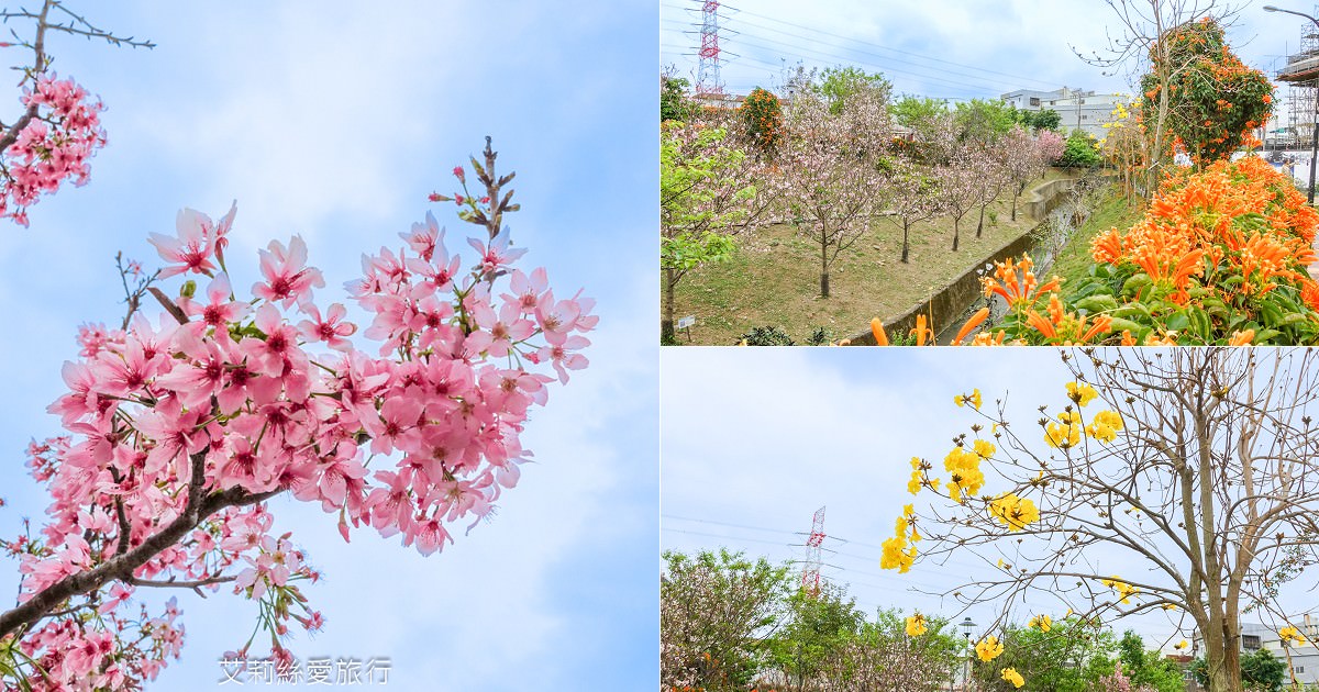 新北親子景點 鶯歌永吉公園 粉嫩富士櫻、黃金風鈴木、多彩多姿杜鵑花真的好好拍 親子同遊炮仗花彩繪步道 玩水旋轉溜滑梯 超好拍立體彩繪 - 第1張圖 新北親子景點 鶯歌永吉公園 粉嫩富士櫻、黃金風鈴木、多彩多姿杜鵑花真的好好拍 親子同遊炮仗花彩繪步道 玩水旋轉溜滑梯 超好拍立體彩繪
