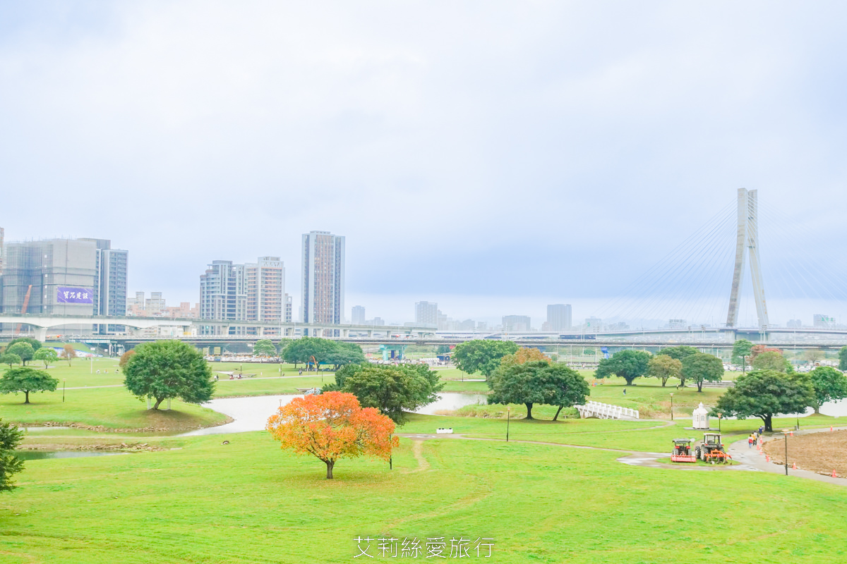 2023年新北燈會高8公尺可愛兔年主燈 資訊時間地點 元宵節燈會 新北大都會公園 逛夜市 玩熊猴森樂園共融式公園 - 第23張圖 2023年新北燈會高8公尺可愛兔年主燈 資訊時間地點 元宵節燈會 新北大都會公園 逛夜市 玩熊猴森樂園共融式公園