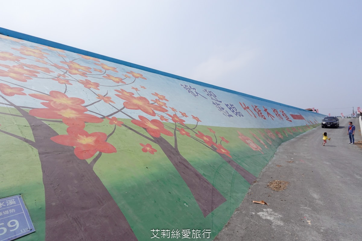 季節限定 「2024竹塘鄉水神傳說木棉花季」 彰化竹塘木棉花道 火紅花海木棉大道 3月盛開 熱汽球表演 歡樂路跑活動