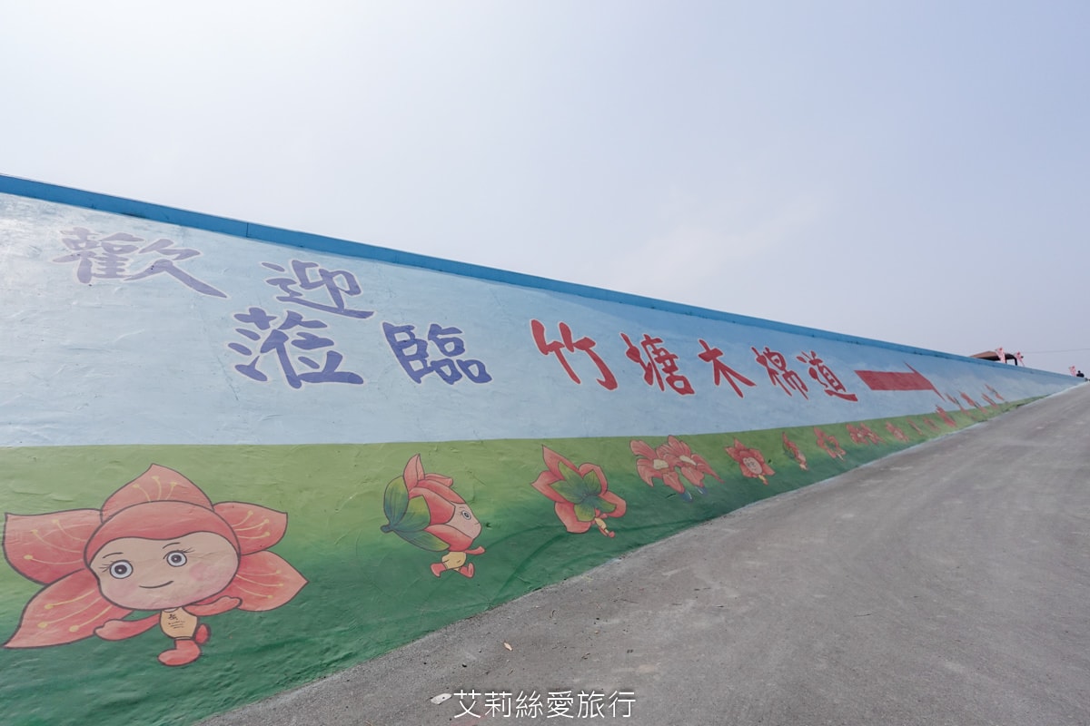 季節限定 「2024竹塘鄉水神傳說木棉花季」 彰化竹塘木棉花道 火紅花海木棉大道 3月盛開 熱汽球表演 歡樂路跑活動