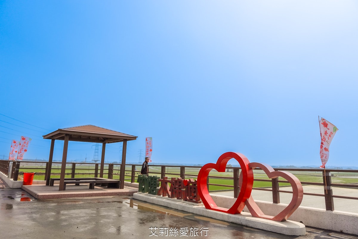 季節限定 「2024竹塘鄉水神傳說木棉花季」 彰化竹塘木棉花道 火紅花海木棉大道 3月盛開 熱汽球表演 歡樂路跑活動