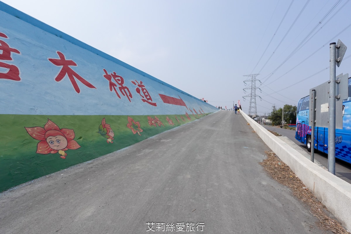 季節限定 「2024竹塘鄉水神傳說木棉花季」 彰化竹塘木棉花道 火紅花海木棉大道 3月盛開 熱汽球表演 歡樂路跑活動