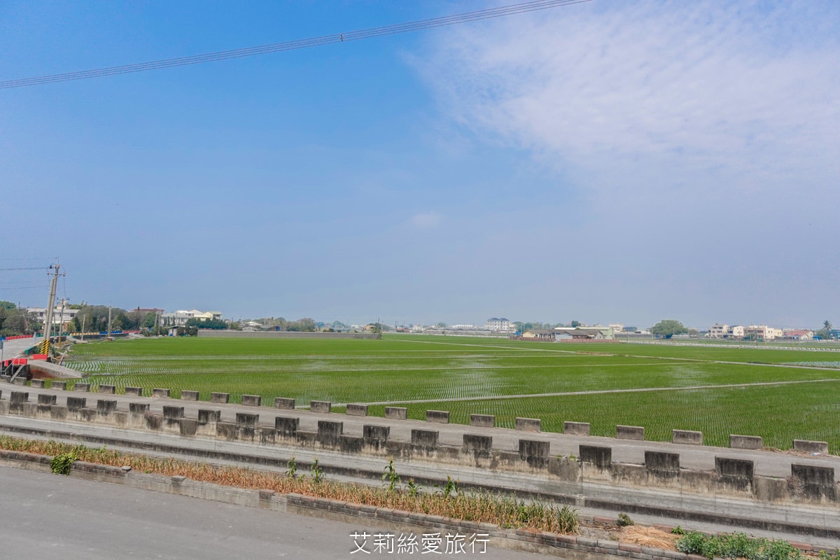 季節限定 「2024竹塘鄉水神傳說木棉花季」 彰化竹塘木棉花道 火紅花海木棉大道 3月盛開 熱汽球表演 歡樂路跑活動