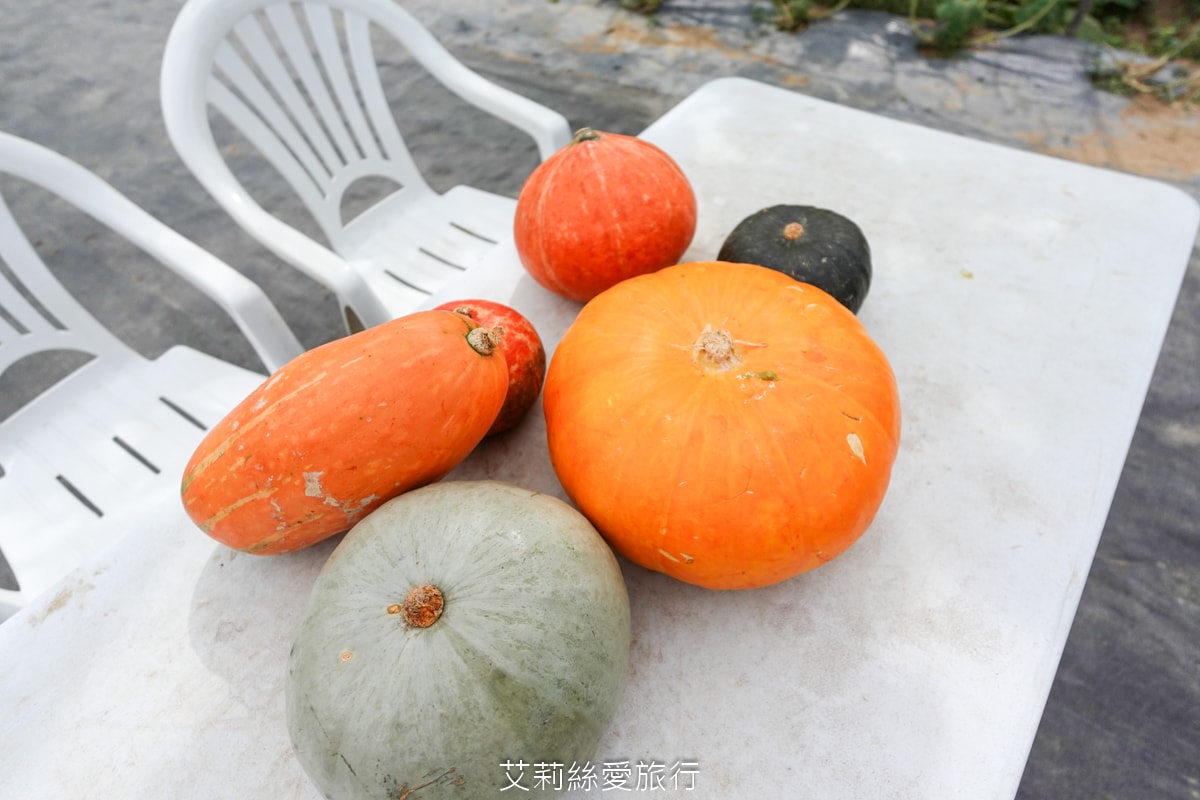 童話秘境~期間限定免費景點!觀賞期只有一個月!可愛南瓜隧道 9座栗子南瓜隧道好好拍!淡水知名景點 - 第5張圖 童話秘境~期間限定免費景點!觀賞期只有一個月!可愛南瓜隧道 9座栗子南瓜隧道好好拍!淡水知名景點