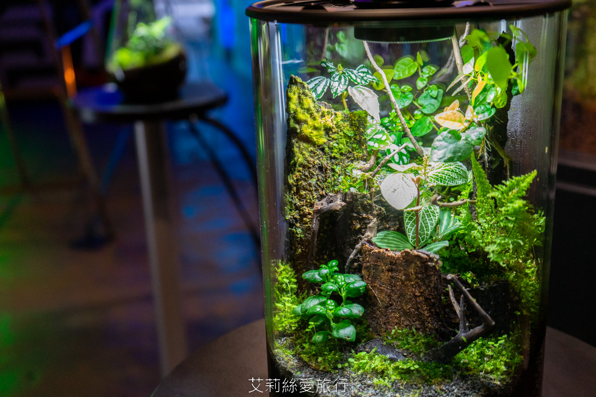 台北展覽 2222未來選擇地 親子、師生看展新選擇！跟未來人一起成為改變歷史的關鍵！華山1914文創園區 捷運忠孝新生站