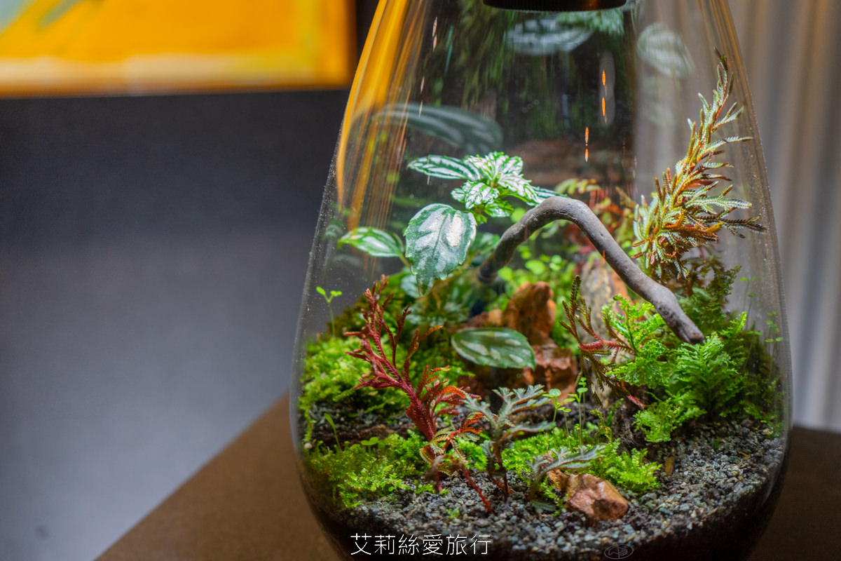 台北展覽 2222未來選擇地 親子、師生看展新選擇！跟未來人一起成為改變歷史的關鍵！華山1914文創園區 捷運忠孝新生站