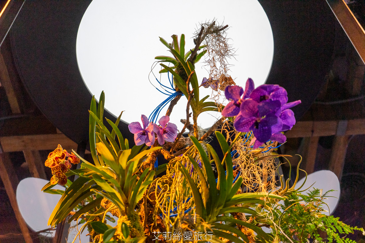 台北展覽 2222未來選擇地 親子、師生看展新選擇！跟未來人一起成為改變歷史的關鍵！華山1914文創園區 捷運忠孝新生站