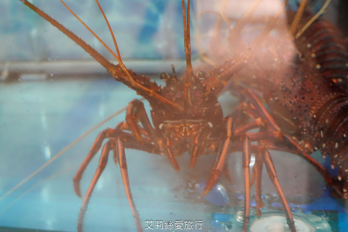 內湖桌菜美食推薦！ 88會館-郭董私房菜 現撈活體海鮮 龍蝦 活鮑魚 產地直送新鮮食材 活魚兩吃